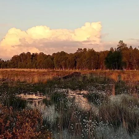 Knusintwente Apartamento *