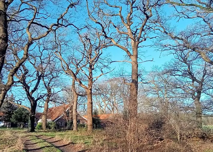 Knusintwente Apartment