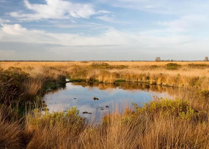 Knusintwente * Geesteren (Overijssel)