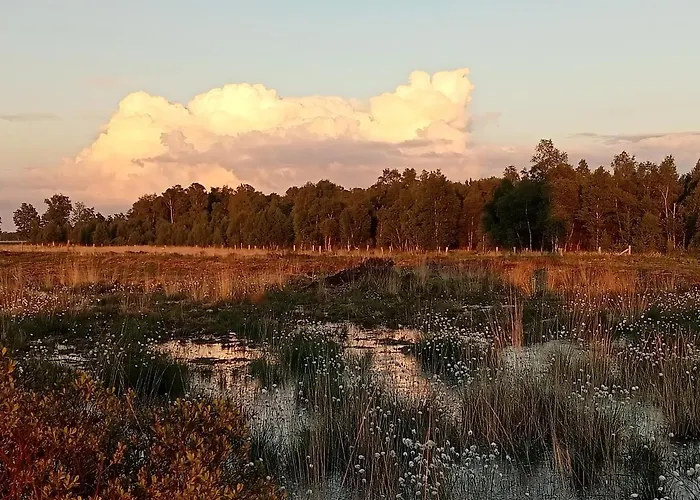 Knusintwente Apartamento *