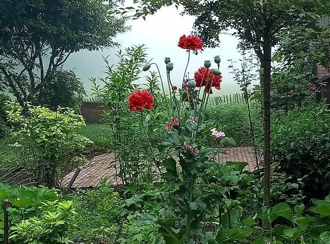 Apartment Knusintwente